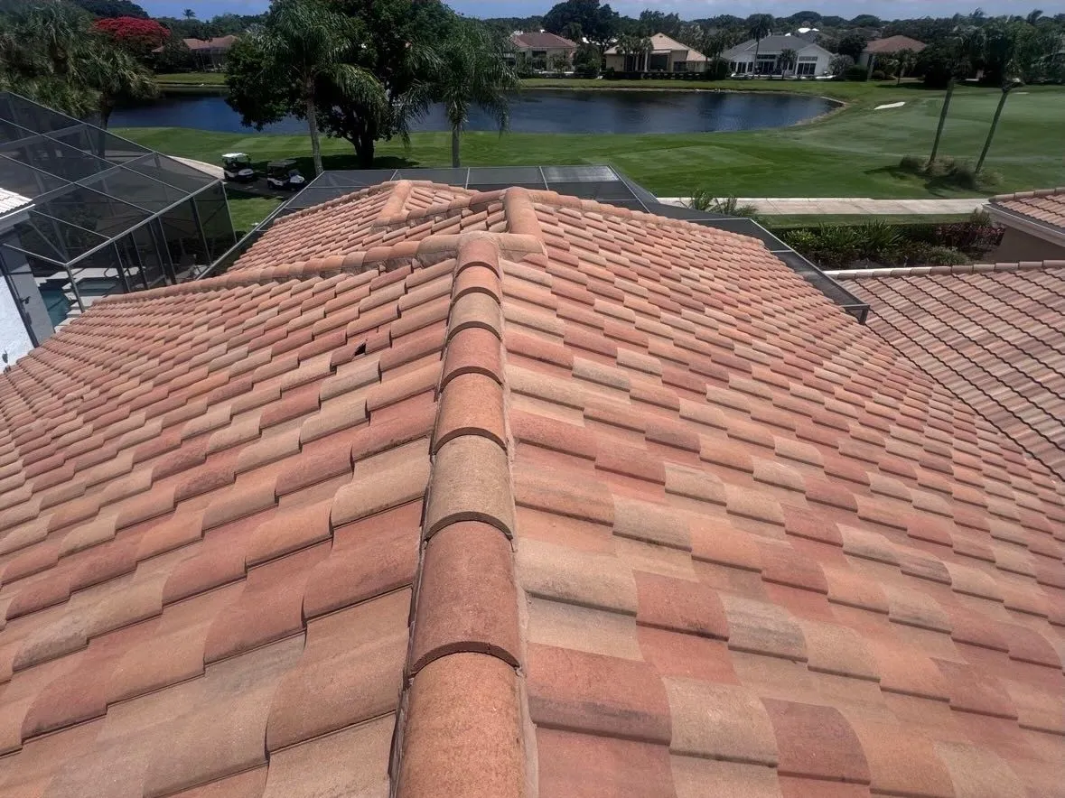 Tile roof soft wash, after
