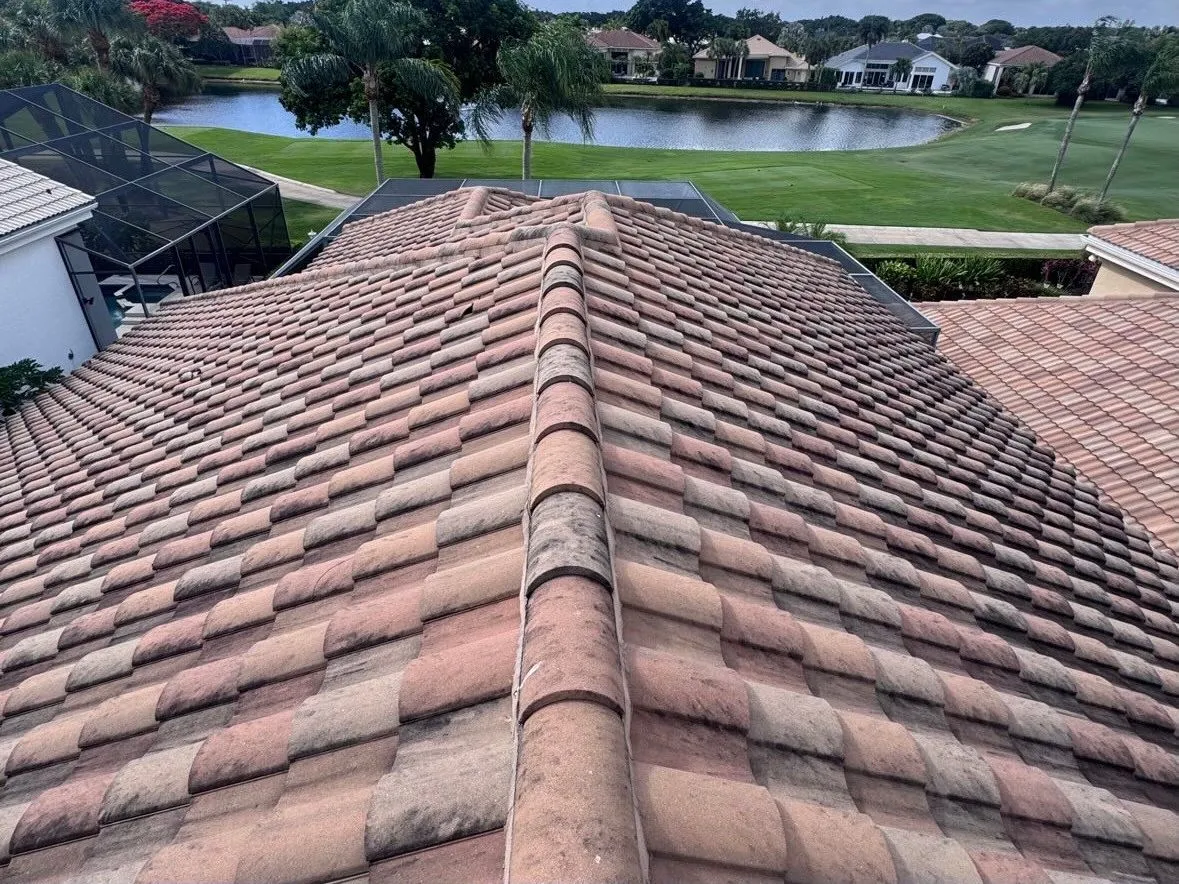 Tile roof soft wash, before